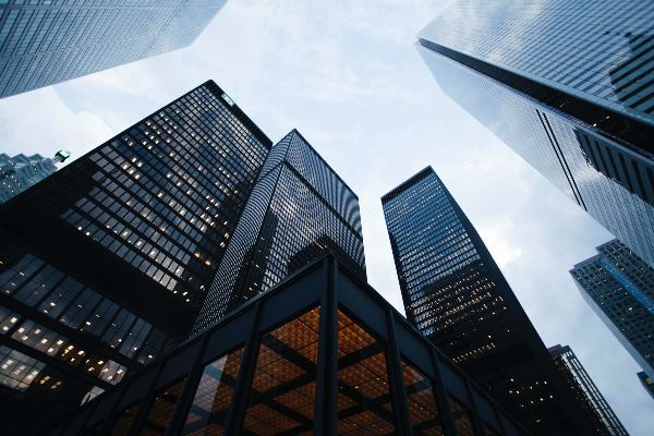 Busca Orgânica: o guia completo para aumentar sua visibilidade no Google e fortalecer a autoridade da marca